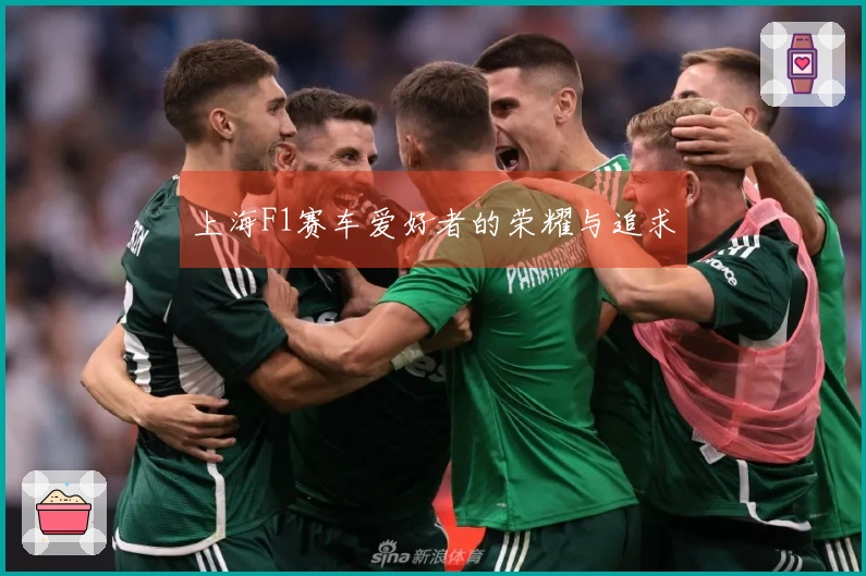 上海F1赛车爱好者的荣耀与追求