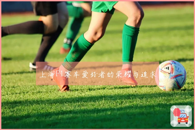 上海F1赛车爱好者的荣耀与追求