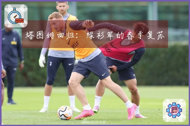 塔图姆回归：绿衫军的春季复苏